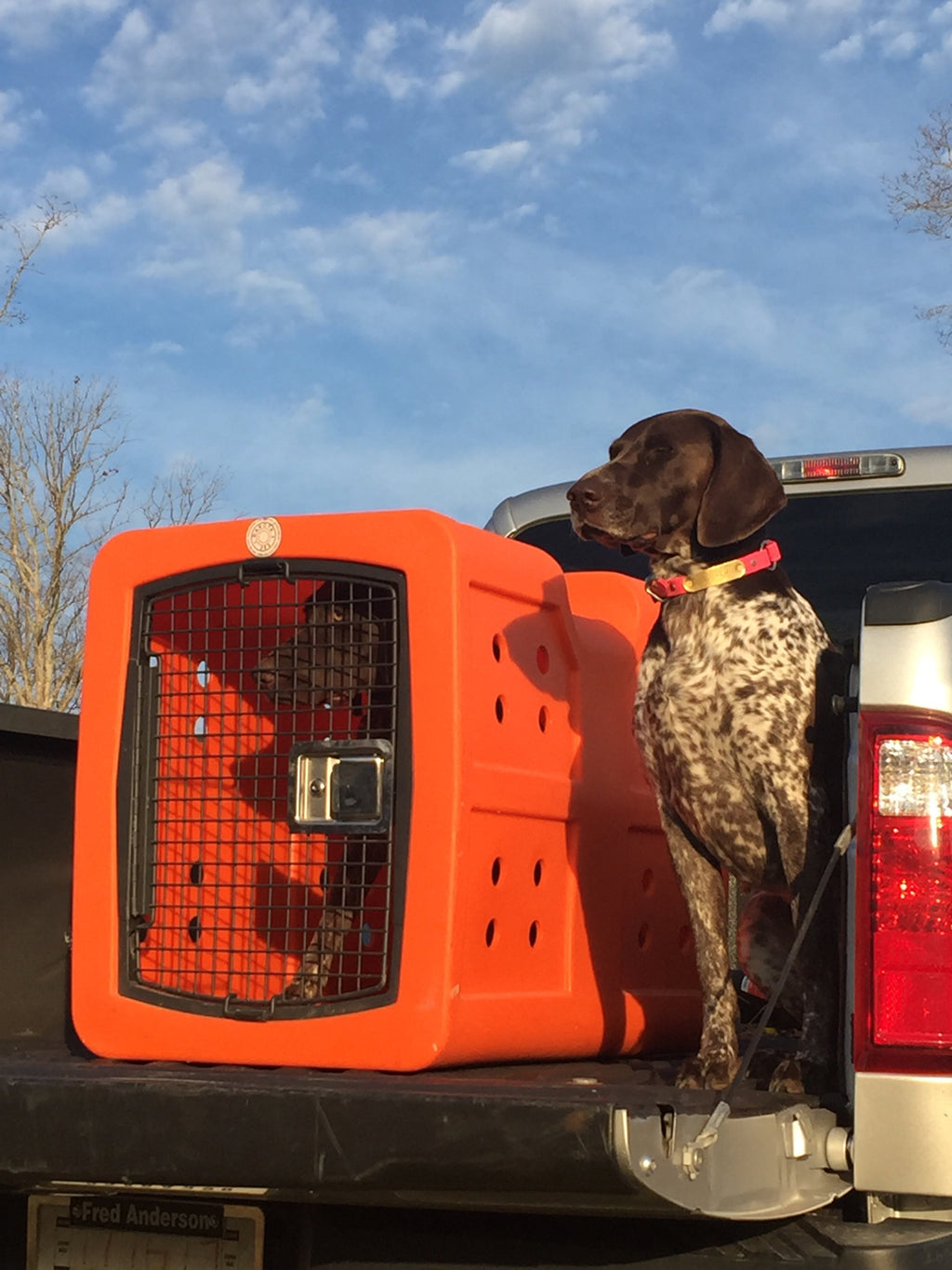 Dakota 283 Kennel G3 Framed Door