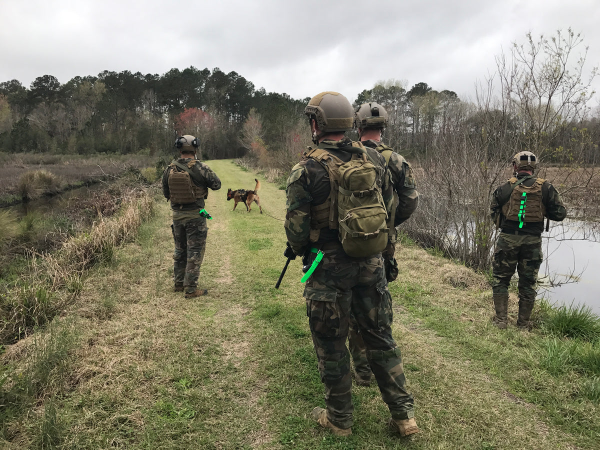 Online Mentoring Advanced Tactical Tracking / Officer Safety While Tr